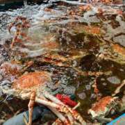 ヒメ日記 2025/10/20 08:29 投稿 えりこ 柏人妻花壇