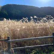 ヒメ日記 2025/10/25 08:23 投稿 えりこ 柏人妻花壇