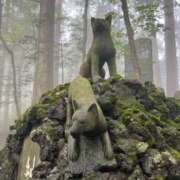 ヒメ日記 2025/10/27 10:44 投稿 えりこ 柏人妻花壇