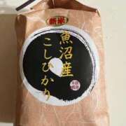 ヒメ日記 2025/11/03 08:18 投稿 えりこ 柏人妻花壇