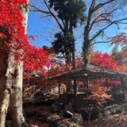 ヒメ日記 2025/11/24 08:53 投稿 えりこ 柏人妻花壇