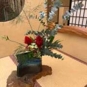 ヒメ日記 2025/12/18 08:44 投稿 えりこ 柏人妻花壇