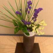 ヒメ日記 2025/12/19 08:05 投稿 えりこ 柏人妻花壇