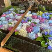 ヒメ日記 2026/01/17 08:03 投稿 えりこ 柏人妻花壇