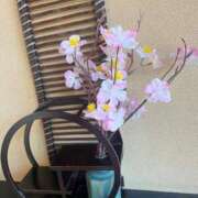 ヒメ日記 2026/02/22 09:22 投稿 えりこ 柏人妻花壇