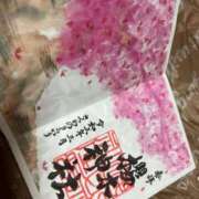 ヒメ日記 2026/02/23 08:52 投稿 えりこ 柏人妻花壇