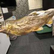 ヒメ日記 2026/03/21 23:49 投稿 えりこ 柏人妻花壇