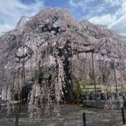 ヒメ日記 2026/04/03 07:07 投稿 えりこ 柏人妻花壇