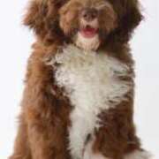 ヒメ日記 2026/04/05 08:03 投稿 えりこ 柏人妻花壇