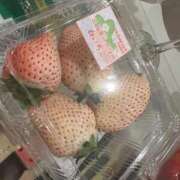 ヒメ日記 2026/04/06 06:44 投稿 えりこ 柏人妻花壇