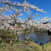 ヒメ日記 2026/04/08 20:33 投稿 えりこ 柏人妻花壇