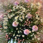 ヒメ日記 2026/04/21 08:06 投稿 えりこ 柏人妻花壇