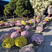 ヒメ日記 2026/04/24 08:09 投稿 えりこ 柏人妻花壇