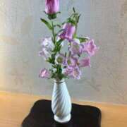 ヒメ日記 2026/04/25 08:29 投稿 えりこ 柏人妻花壇