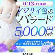 ヒメ日記 2026/06/12 12:30 投稿 えりこ 柏人妻花壇