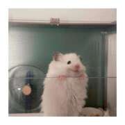 ちか 💚満員御礼💚 New Sky