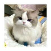 ちか 🤎満員御礼🤎 New Sky