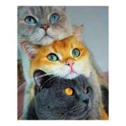 ヒメ日記 2026/01/19 14:31 投稿 ちか New Sky