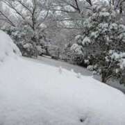 ヒメ日記 2026/02/08 10:14 投稿 ちか New Sky