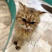 ヒメ日記 2026/02/27 01:29 投稿 ちか New Sky