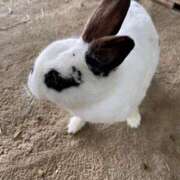 ヒメ日記 2025/05/23 15:24 投稿 もも スチュワーデス