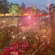 ヒメ日記 2025/05/25 19:27 投稿 もも スチュワーデス