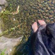 ヒメ日記 2025/08/24 14:50 投稿 もも スチュワーデス