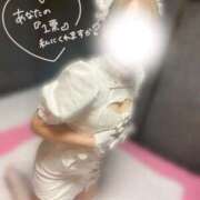 ヒメ日記 2025/11/23 14:47 投稿 もも スチュワーデス