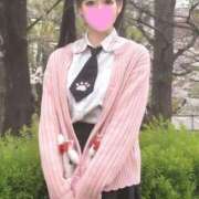 ヒメ日記 2025/04/11 12:31 投稿 くろ 秋葉原コスプレ学園(AKG)