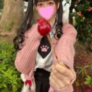 ヒメ日記 2025/04/23 15:11 投稿 くろ 秋葉原コスプレ学園(AKG)