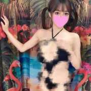 ヒメ日記 2025/11/02 12:02 投稿 くろ 秋葉原コスプレ学園(AKG)