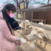 ヒメ日記 2026/01/29 02:01 投稿 くろ 秋葉原コスプレ学園(AKG)