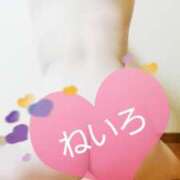 ヒメ日記 2025/05/11 01:30 投稿 ねいろ 八尾藤井寺羽曳野ちゃんこ