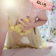 ヒメ日記 2025/07/18 13:36 投稿 ねいろ 八尾藤井寺羽曳野ちゃんこ