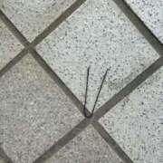 ヒメ日記 2026/01/14 15:16 投稿 じゅり clubさくら京橋店