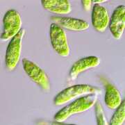 ヒメ日記 2026/02/12 10:02 投稿 じゅり clubさくら京橋店