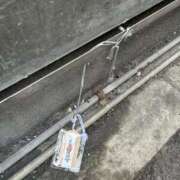 ヒメ日記 2026/02/20 09:32 投稿 じゅり clubさくら京橋店