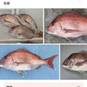 じゅり じゅり（clubさくら京橋店） clubさくら京橋店