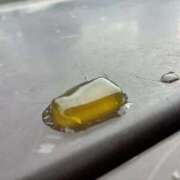 じゅり じゅり（clubさくら京橋店） clubさくら京橋店