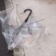 じゅり じゅり（clubさくら京橋店） clubさくら京橋店