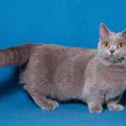 ヒメ日記 2026/03/29 11:14 投稿 じゅり clubさくら京橋店