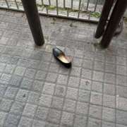 ヒメ日記 2026/01/22 12:36 投稿 じゅり 奥さまさくら京橋店