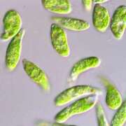 ヒメ日記 2026/02/12 11:14 投稿 じゅり 奥さまさくら京橋店