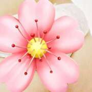 ヒメ日記 2025/02/26 19:03 投稿 なみ ぽちゃカワイイ！