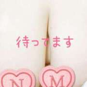 ヒメ日記 2026/02/12 18:52 投稿 なみ ぽちゃカワイイ！