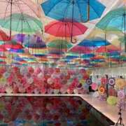 なみ お礼♡ ぽちゃカワイイ！