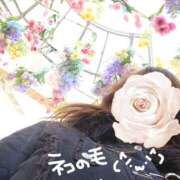 ヒメ日記 2025/01/30 19:49 投稿 みお メイドde本舗