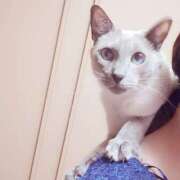 ヒメ日記 2025/02/21 08:45 投稿 みお メイドde本舗