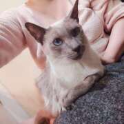 ヒメ日記 2025/02/26 21:26 投稿 みお メイドde本舗