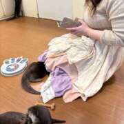 ヒメ日記 2025/03/20 19:24 投稿 みお メイドde本舗